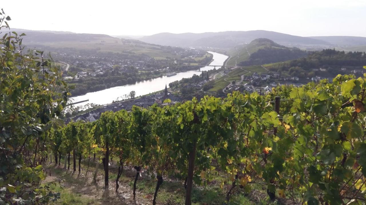 Fewo Sonnenlay - Apartments An Der Mosel Brauneberg Exterior foto