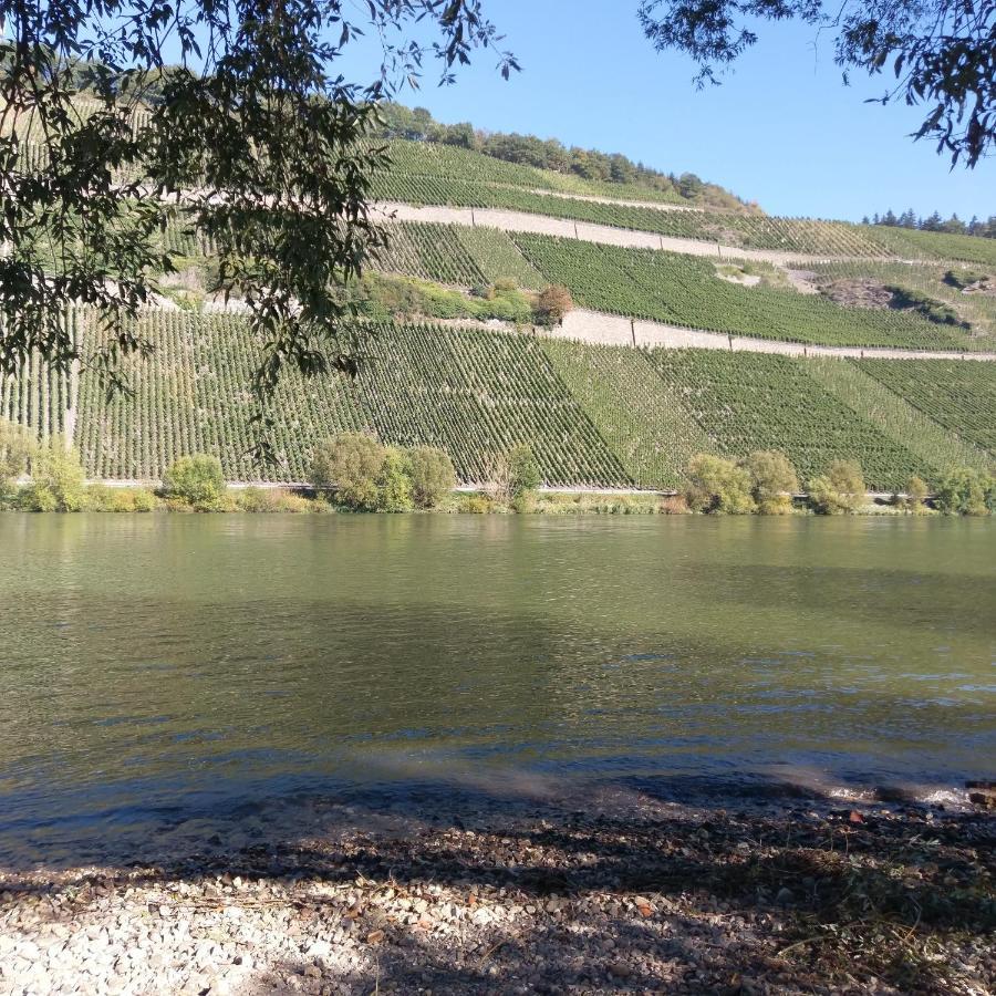 Fewo Sonnenlay - Apartments An Der Mosel Brauneberg Exterior foto